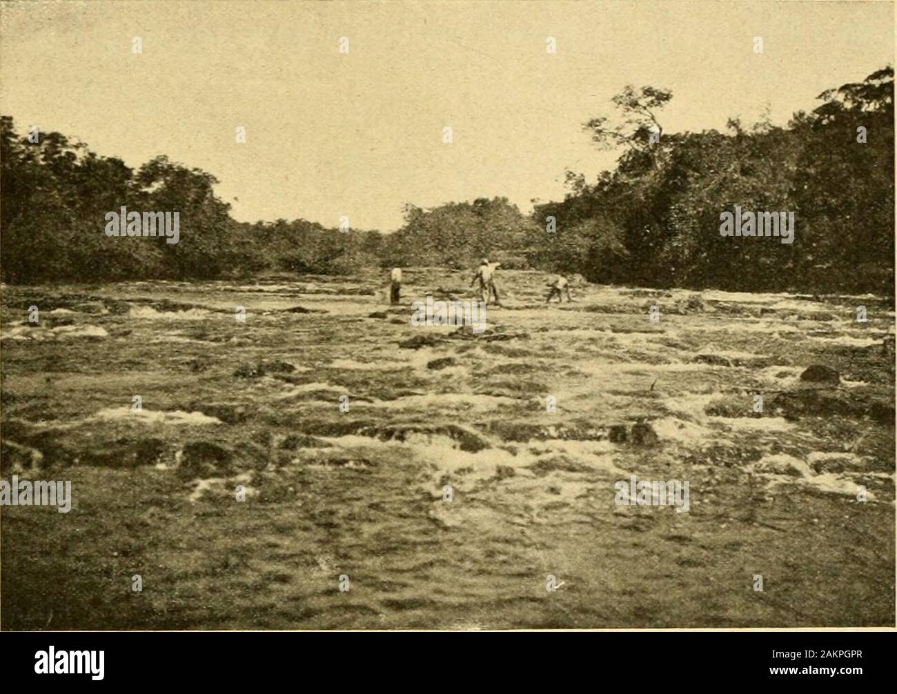 Page 3 Bookdecade1900 High Resolution Stock Photography And