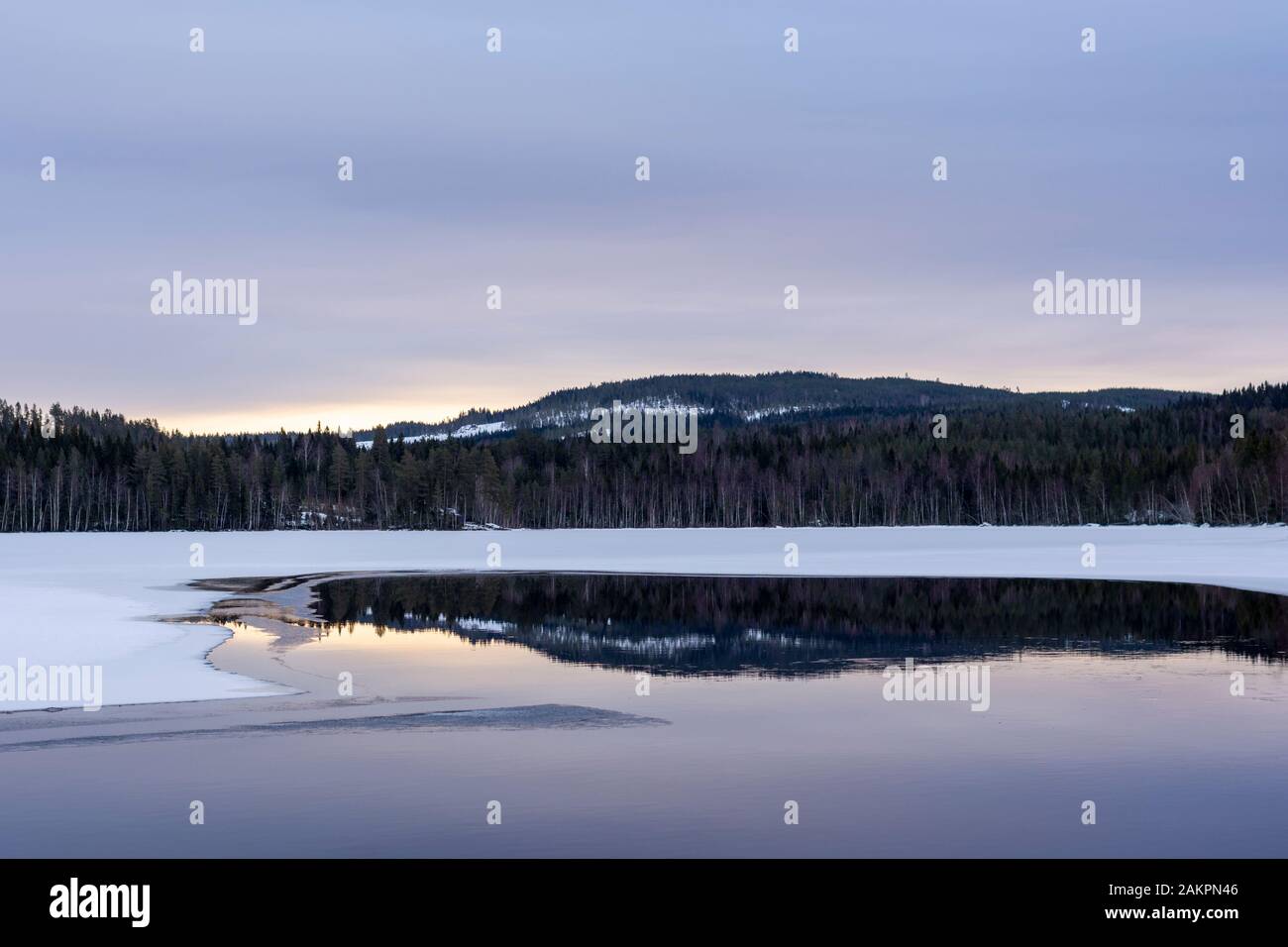 Open calm spot in a frozen lake with reflections of forest and a ...