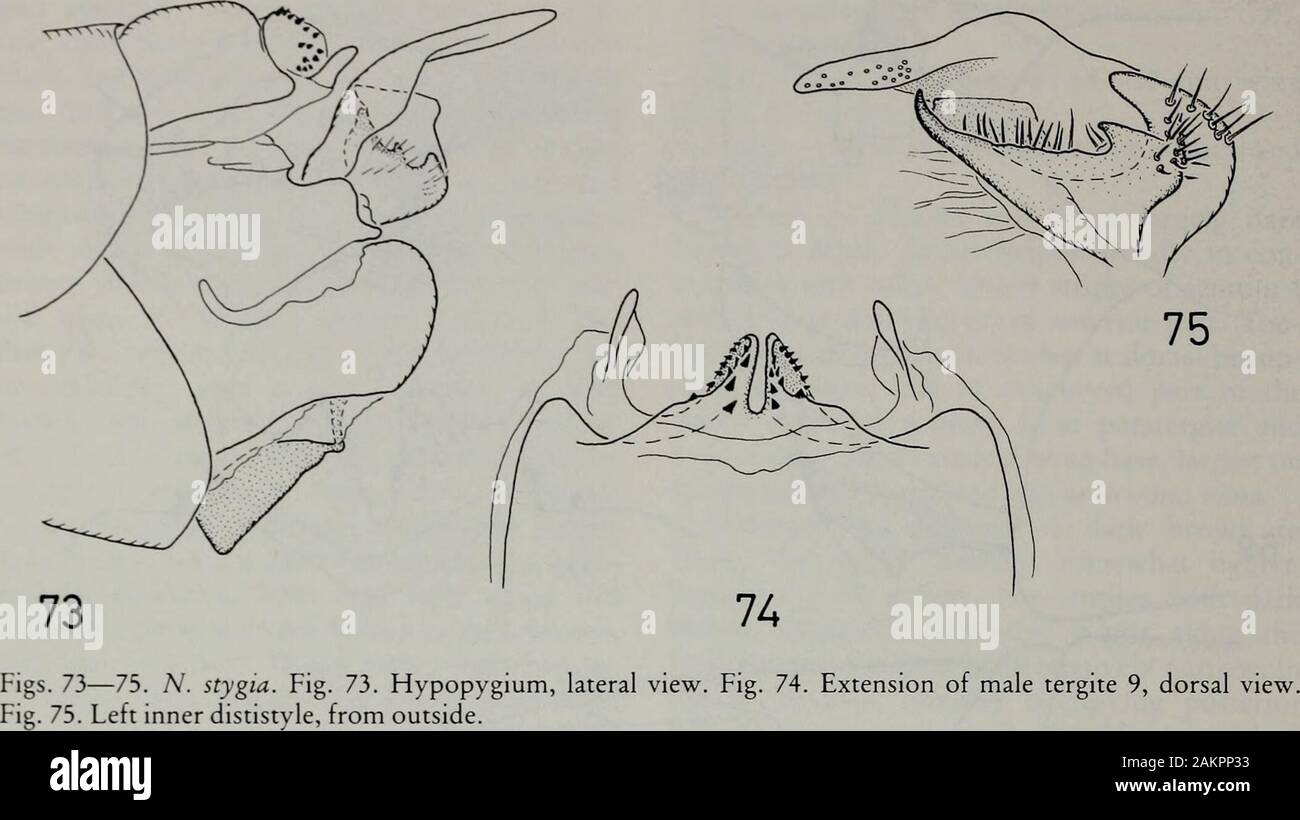 Tijdschrift Voor Entomologie Bed In Nephrotoma Para Types Id 19 Para Topo Types From 23 Vi 1939 Mak Other Material Hd 18 9 Hokkaido 3d 49 Honshu Id 19 Kyushu Kagoshima Beppu 19 Sado 3d 29 North