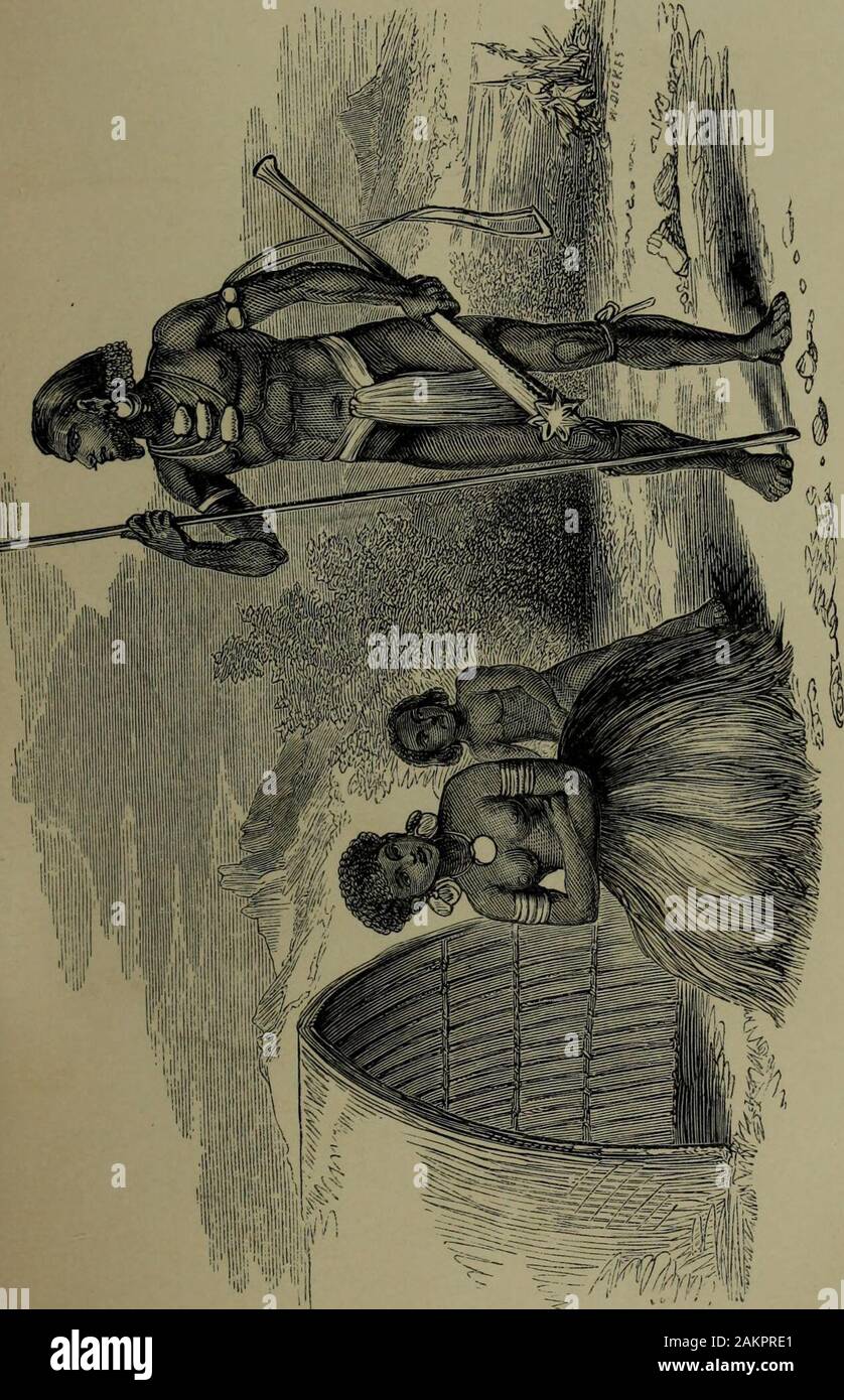 Nineteen years in Polynesia: missionary life, travels, and researches in the islands of the Pacific . h went blazing up every eight or tenminutes. So far as we observed, that is the usualinterval between the eruptions, night and day. Thenative name of the volcano is Asur (Asoor). Theyhave a tradition that it came from the neighbouringisland of Aneiteum; and, probably, this may befounded on some such fact as the extinction of avolcano on Aneiteum being followed by the outbreakof this one on Tanna. But I hasten to the people. Tanna is a field ofno ordinary interest for scientific observation; bu Stock Photo