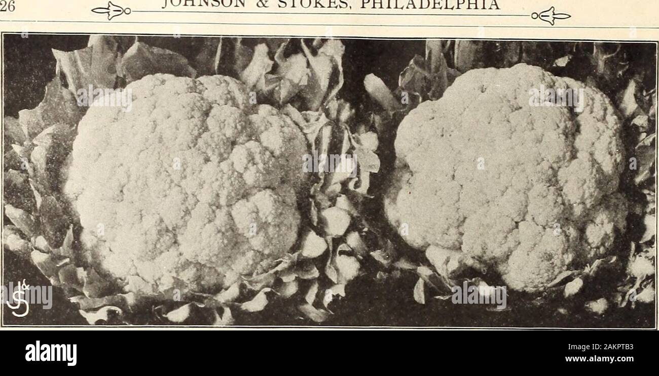 Garden And Farm Manual 1905 Headerhollander Or German Export
