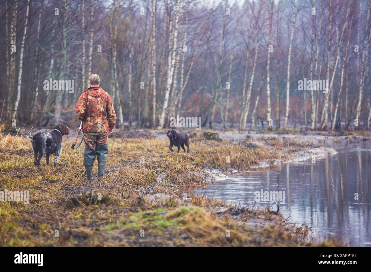 A process of hunting during hunting season, process of duck hunting