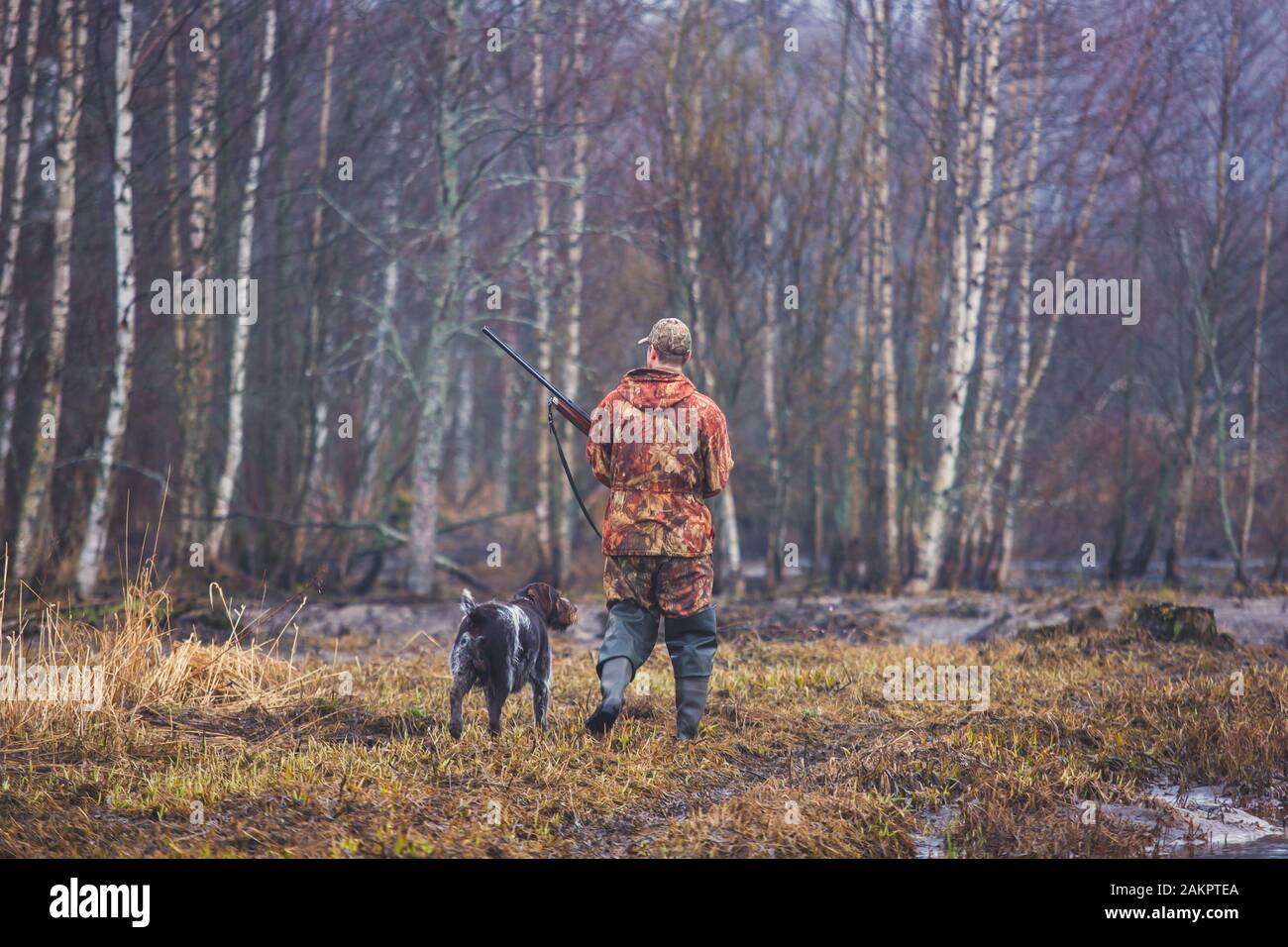 A process of hunting during hunting season, process of duck hunting