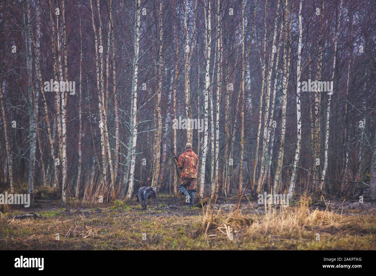 A process of hunting during hunting season, process of duck hunting