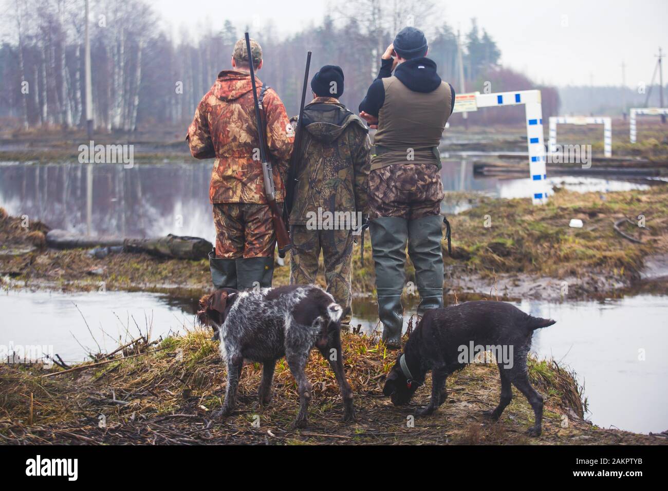 german wirehaired pointer duck hunting