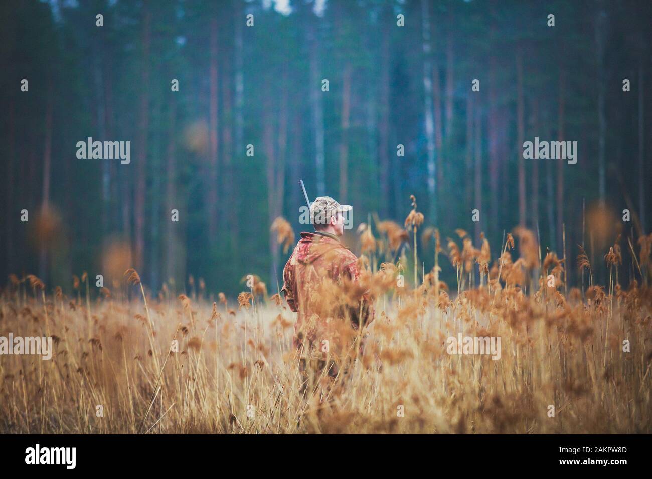 A process of hunting during hunting season, process of duck hunting