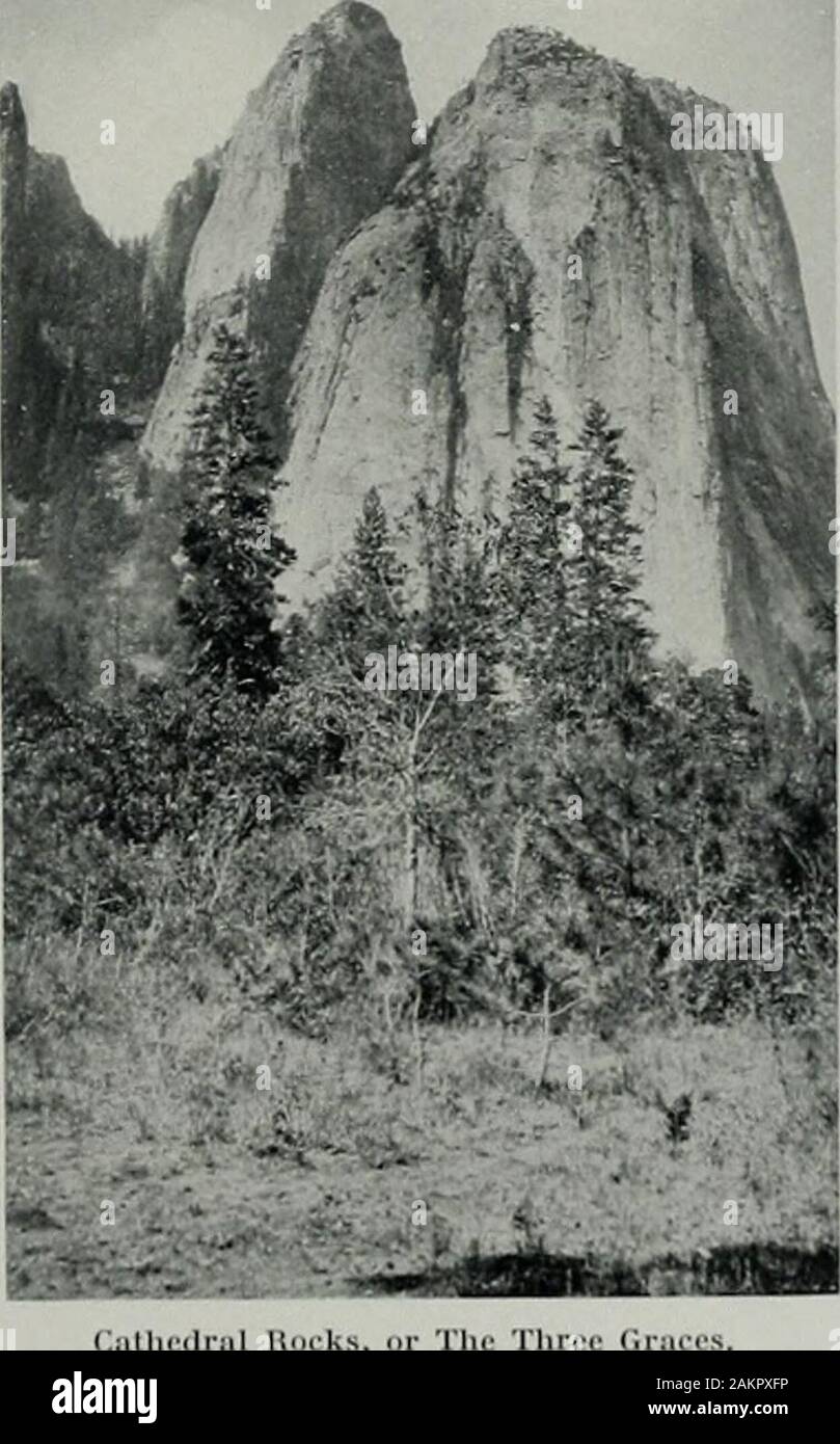 Pacific Gas and Electric magazine . ach between pointsmany miles apartand show the energyfrom billions of voltspressure being dissi-pated to MotherEarth; while the rel-ative speed of soundand light never wasso forcibly impressedin our mortal minds.The next day Iwent to the Yosemitepower-house to lookinto its engineeringfeatures. It is a gal-vanized iron gableroof building locatedon the Merced riverabout one-quarter ofa mile below its junc-tion with the Illilou-ctte creek cascades.This plant is oper-ated and maintainedby the United Statesgovernmeni, and allof tiie employees areon tiie governmen Stock Photo