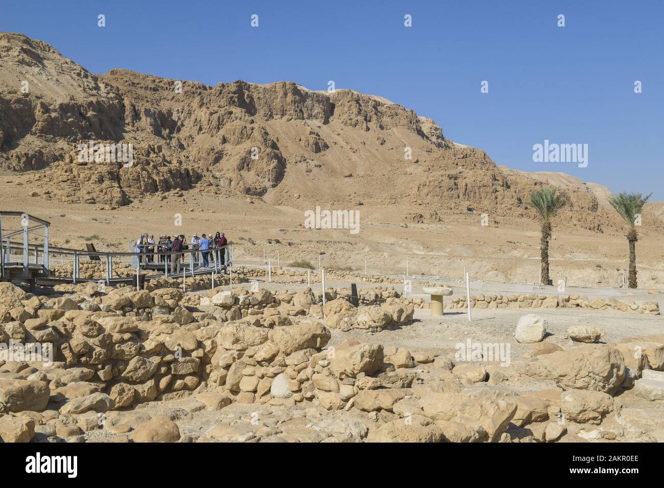 Felslandschaft, Palmen an der Ausgrabungsstätte Qumran, Israel Stock Photo