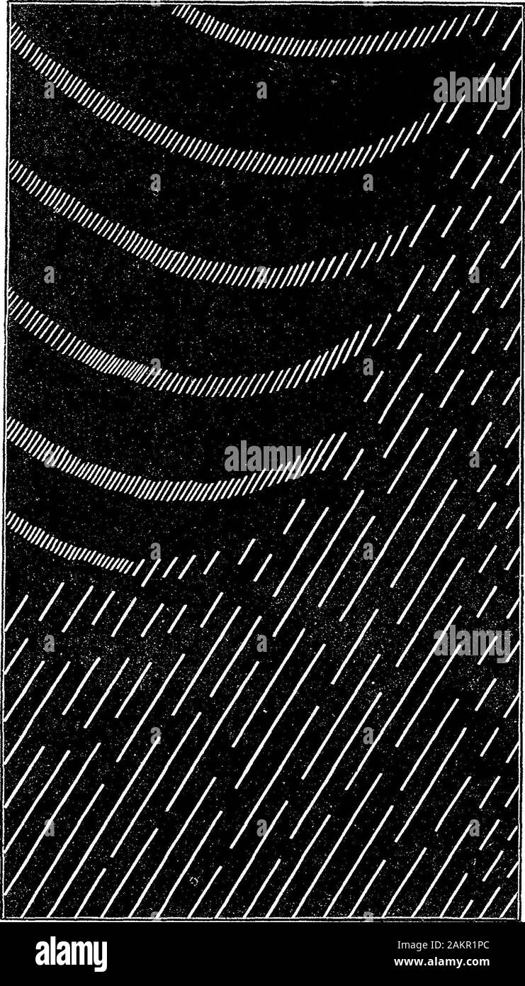 On Stratified Discharges.--IIObservations with a Revolving Mirror . traces a sketch of a flocculent stria. As the surface is stillfurther increased these diagonal lines appear more and more crowdedtogether, until at last they blend into unbroken flocculent striae. This confound nature and mode of formation may be taken as ageneral characteristic of the flocculent striae. In some tubes it is moreeasily brought out, in others only with greater difficulty. In some itcan hardly be verified experimentally without a loss of light so great asto mask the phenomenon. The apparent proper motion of the f Stock Photo