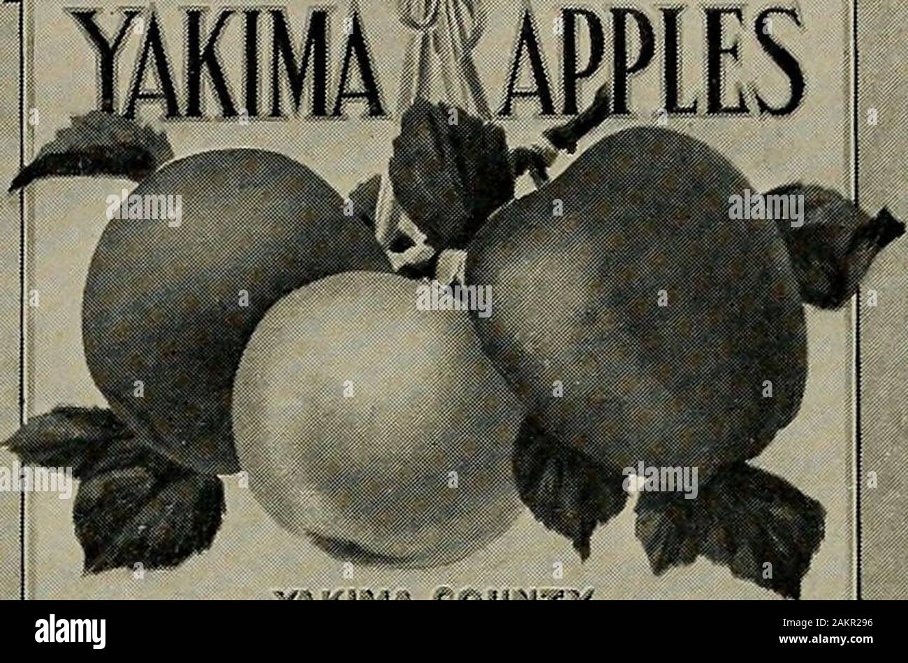 Rule 34 hi-res stock photography and images - Page 2 - Alamy