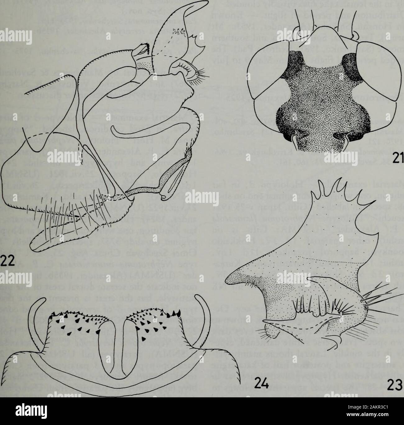 Tijdschrift voor entomologie . do; 19, Shikoku (Betssiyama,Ehime); 26 29, Kyushu (Shiratoriyama, Ku-mamoto; Chojabaru, Oita). Characteristics. — N. subpallida can easily berecognized by the characters mentioned in thekey. The female cerei are relatively broad andshort (fig. 17). The male intromittent organ hasthe apical two-thirds trifid, a character knownfrom the flavescens subgroup of the cornicinagroup only (Oosterbroek, 1980). Distribution and period of flight. — The spe-cies was known from Honshu only, but materialwas examined now from Sado, Shikoku andKyushu as well. Adults were collecte Stock Photo