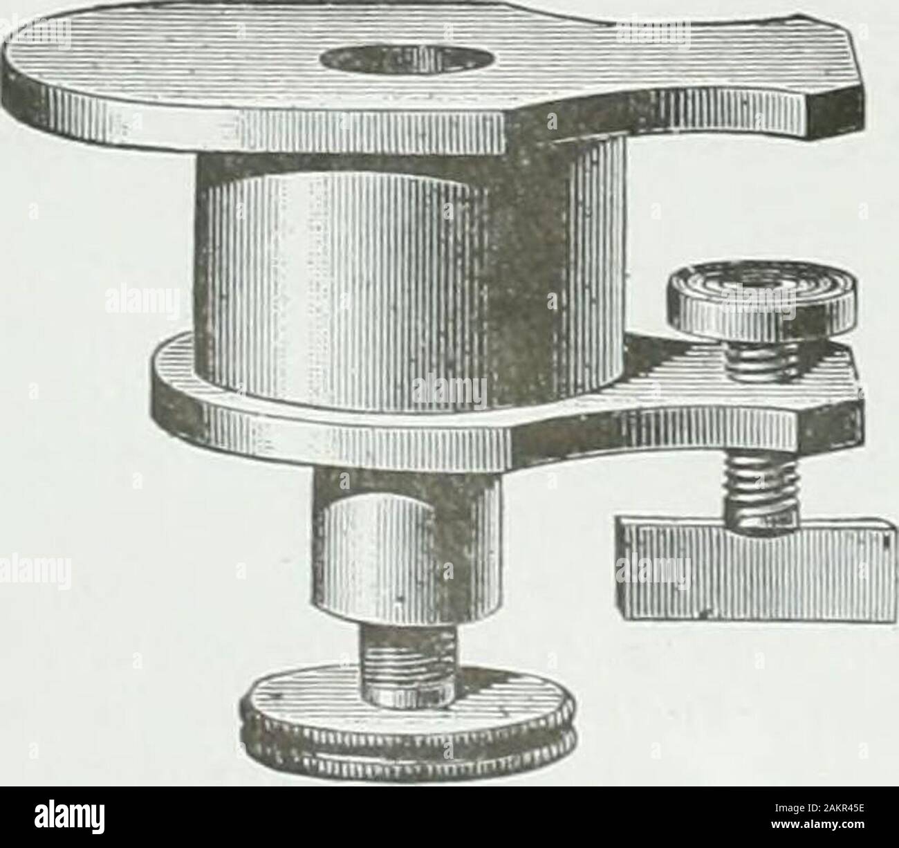 Pulp And Paper Magazine Of Canada Thin Section Of The Materialunder Examination Mounting In Wax In Many Cases Sections Of Paper Required For Temporaryexamination Can Most Easily Be Cut By Mounting