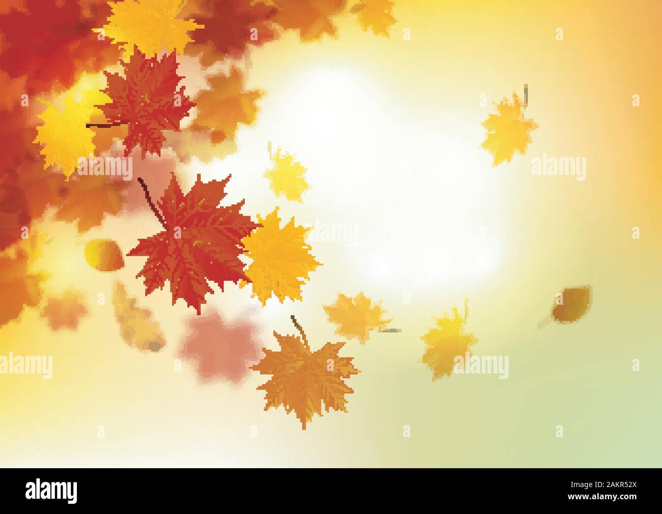 Autumn leaves background. vector Stock Vector Image & Art - Alamy