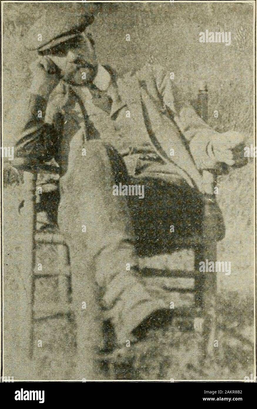 Carpenter . ADAM ADDISON MGREGOR. the University building of that city