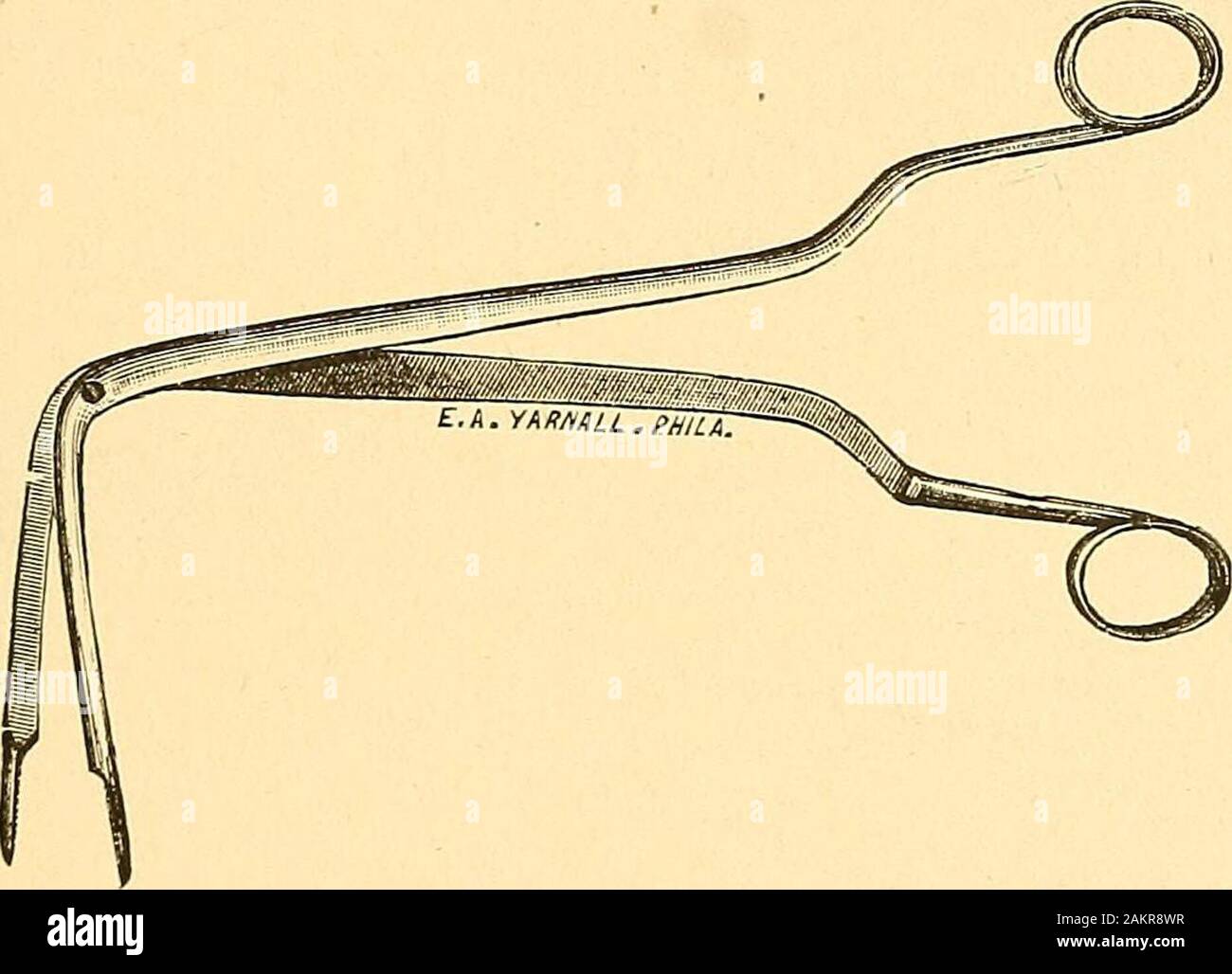 Philomic Instrument Diseases of the nose and throat; a text-book for students and ...
