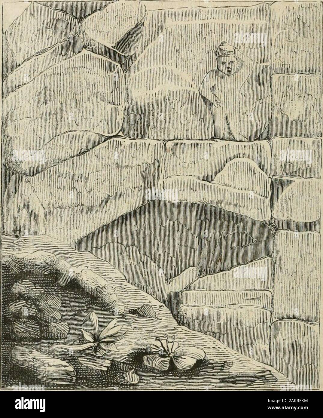 Storia Dell Italia Antica Prime Tracce Di Bassorilievo In Un Muro Ciclopico Della Porta Bellona In