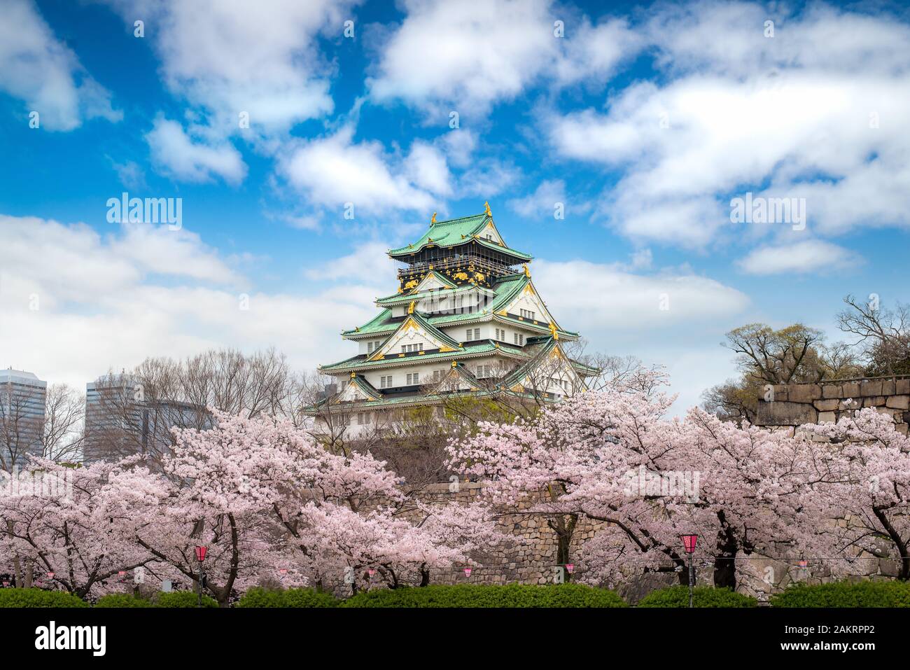 Osaka Castle with Japanese cherry blossom garden and tourist