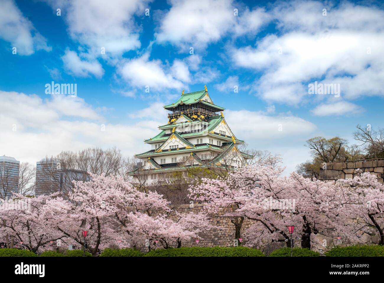 Osaka Castle with Japanese cherry blossom garden and tourist sightseeing at Osaka, Japan. Japan tourism, history building, or tradition culture and tr Stock Photo