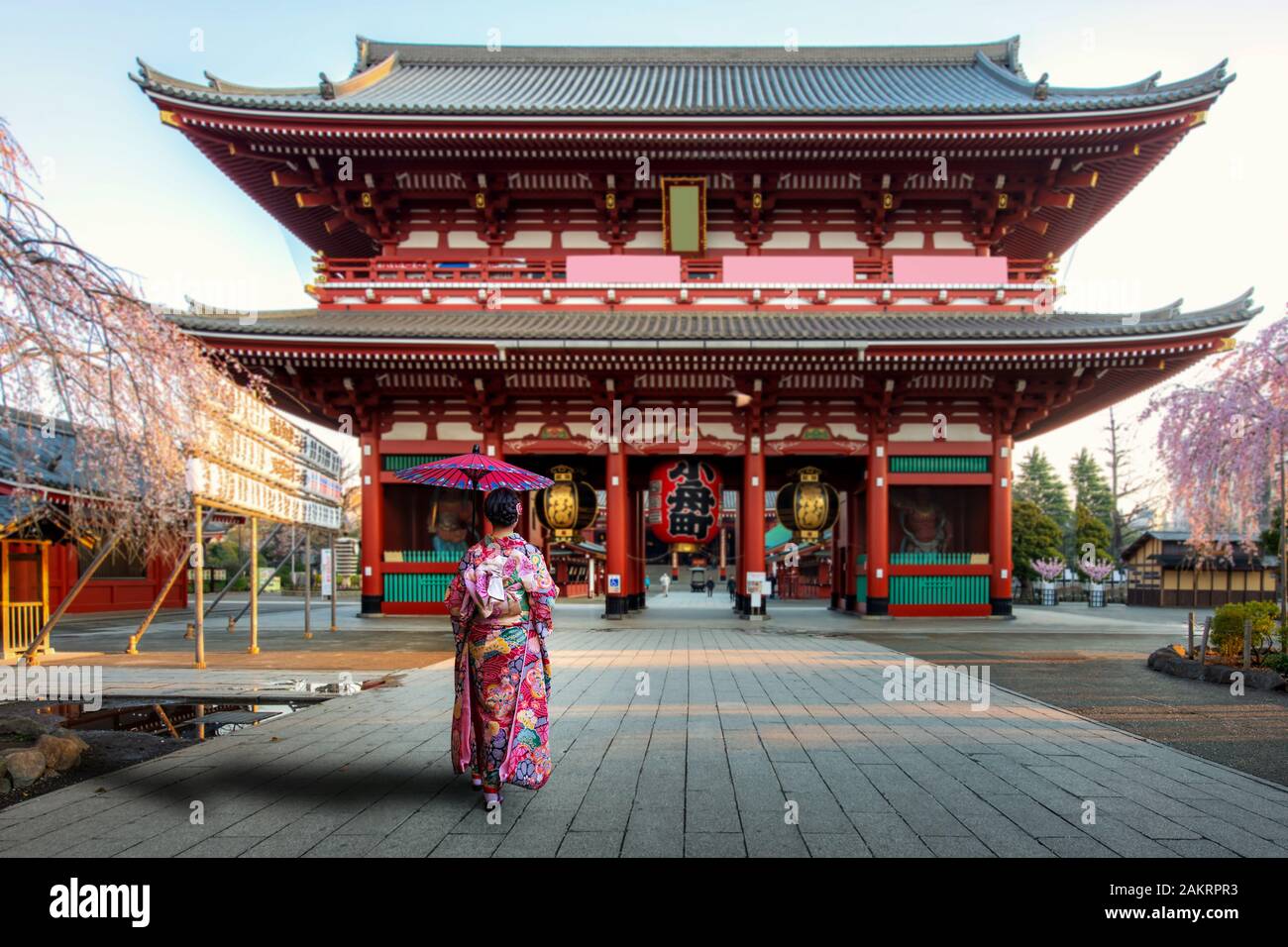 Young asian woman wearing Kimono Japanese tradition dressed sightseeing at Sensoji temple gate with cherry blossom tree during spring season in mornin Stock Photo