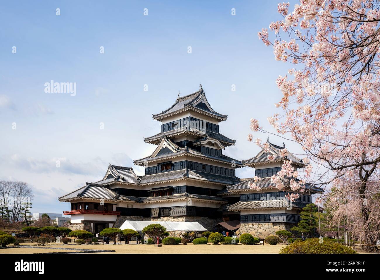 Matsumoto Castle during cherry blossom (Sakura) is one of the most famous sights in Matsumoto, Nagano, Japan. Japan tourism, history building, or trad Stock Photo
