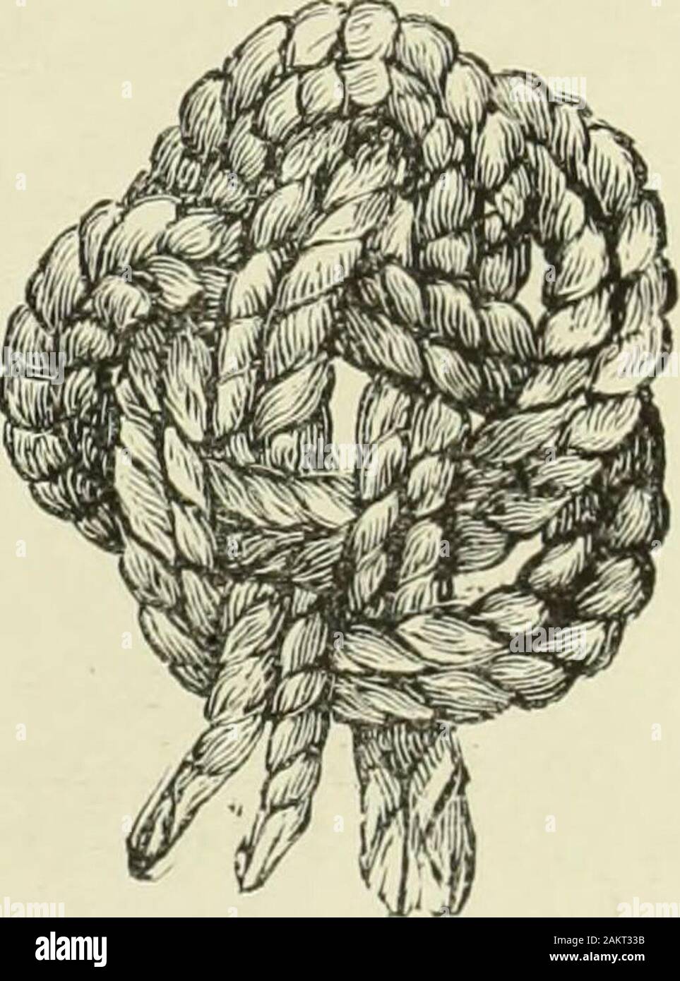 The Dictionary Of Needlework An Encyclopaedia Of Artistic Plain And Fancy Needlework Dealing Fully With The Details Of All The Stitches Employed The Method Of Working The Materials Used The Meaning