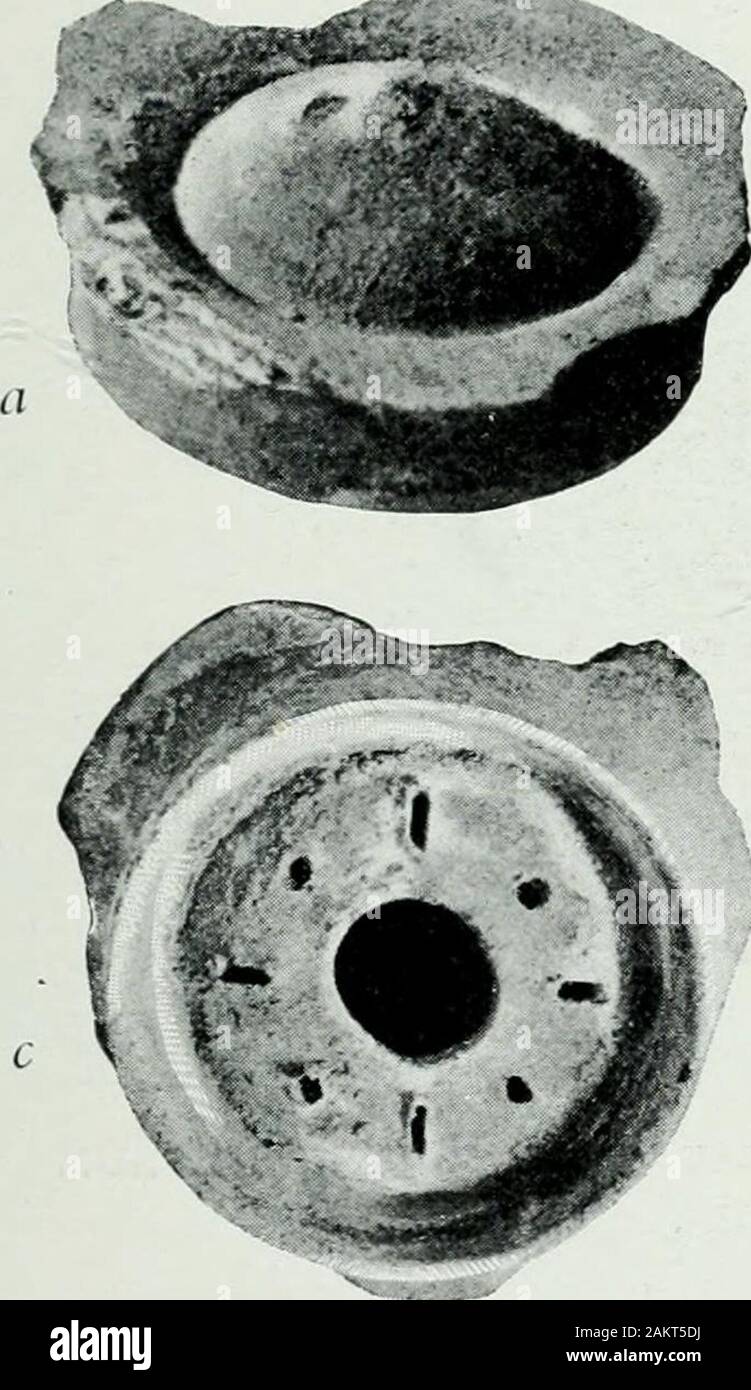 The palaces of Crete and their builders . rary, the art of boiling wasbetter understood than among us to-day. The great thickness of the lid is verv striking, and isspeciallv adapted for slow boiling. When the pot begins toboil the lid may shake and the contents boil over. To preventthese accidents the Mvcensans invented a condensing lid, whichis seen in Fig. 141. Thev are large and small, but all made onthe same system. Fig. 142 illustrates the lid of a saucepanwhich I found among the fragments of pottery in the mostancient palace at Phastos. The lid is shown as seen from above,from below, an Stock Photo