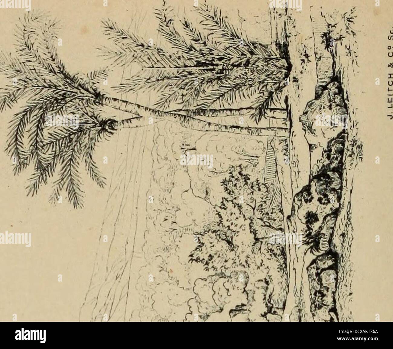 Etna a history of the mountain and of its eruptions . rffislk Stock