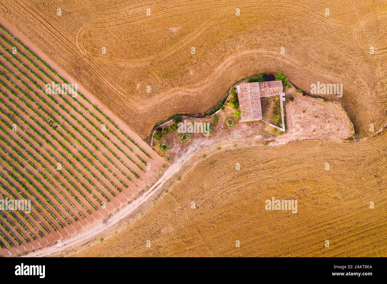 Agriculture landscape. Aerial view. Stock Photo