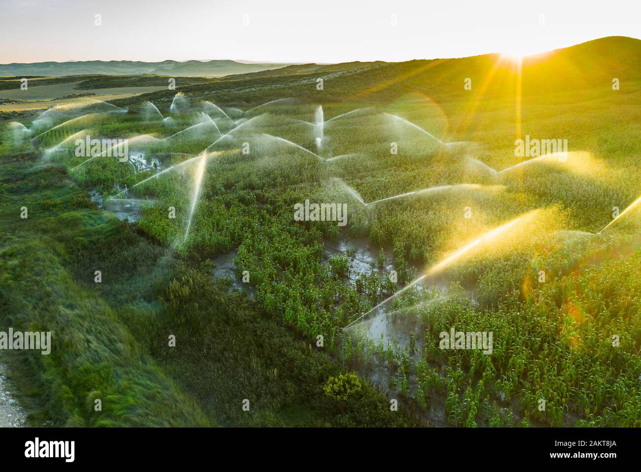 Farmland with watering. Aerial view. Stock Photo