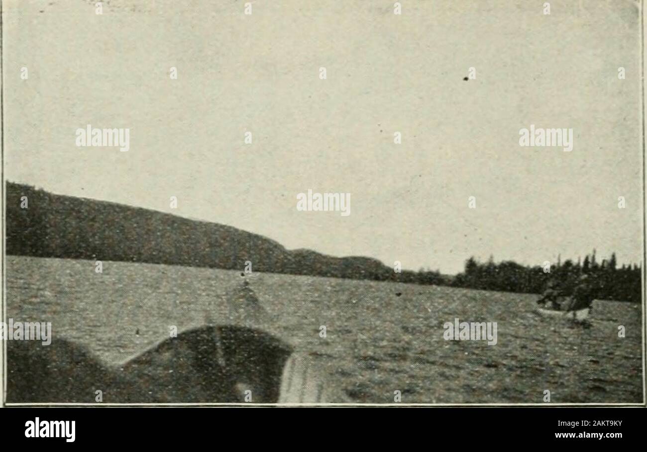 Ontario Sessional Papers, 1901, No.45-79 . 6 p. Smoothwater Lake looking south from outlet. Party No. 3.[21]. Lake expansion on east branch of Montreal River. Party No. 3. Stock Photo