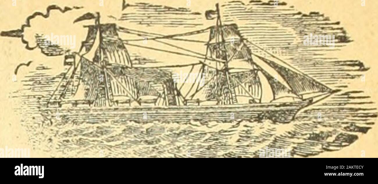 Le quincaillier (Septembre 1888-Aout 1889) . eurre frais la livre 0 20 Pore lrais par 100 livres 8 00 Jamboiifume 0 12 Saindoux, seaux 20 lbs 195 Lard short cut canadien,ea quart. 17 00 Lard mess americain 16 00 Sel en magasin 0 00 FoinparlOO bottes 8 00 Paille par 100 bottes 4 00 MARCHE AU CUIR.Spanish sole, cuir a semelle No. 1, la livre 0 23 Spanish sole, cuir a semelle No. 2, la livre 0 21 Cuir a semelle du pays No. 1 0 25 Cuir a harnais 0 27 Vache ciree 0 35 Bufl et vache grainee, le pied 0 13 Vache vernie , 0 15 Vache glacee (enamelled) 0 15 Peaux de veaux epaisses, lalivo.. 0 50Peauxdev Stock Photo