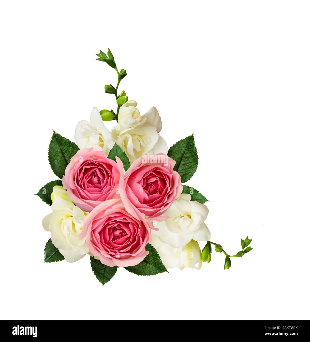 25 PEACHY CREAM FLAT ROSEBUDS 25 PEACH//WHITE ROSES COLLECTION