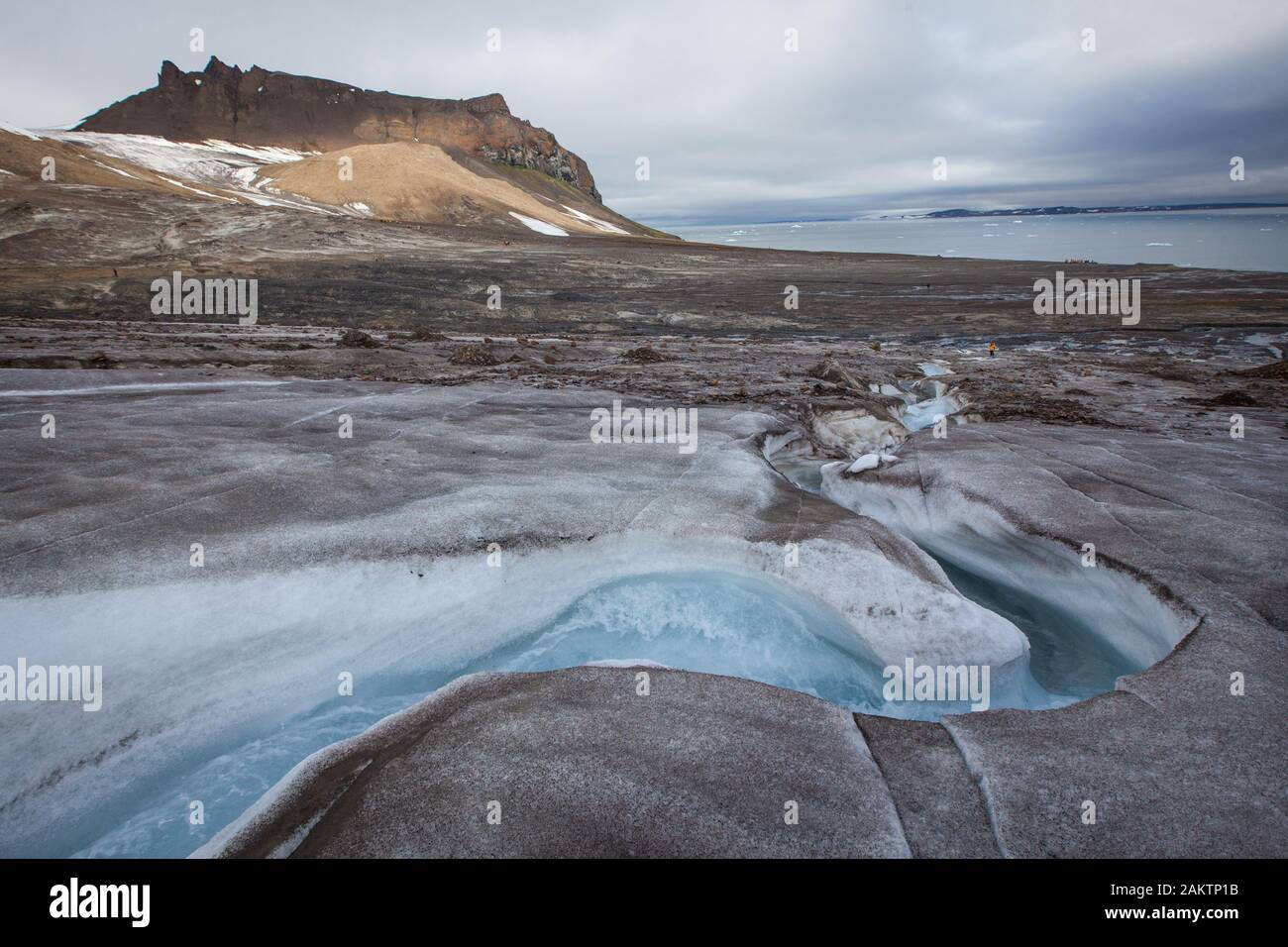 Champ Island, Franz Josef Land, Russian Arctic Stock Photo Alamy