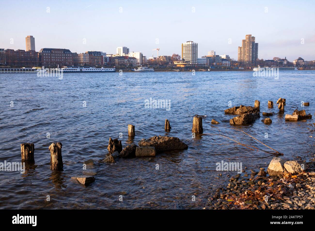 remains of an old wooden landing pier on the banks of the Rhine in the dirstrict Deutz, view to the Bastei, Cologne, Germany.  Reste eines alten Boots Stock Photo