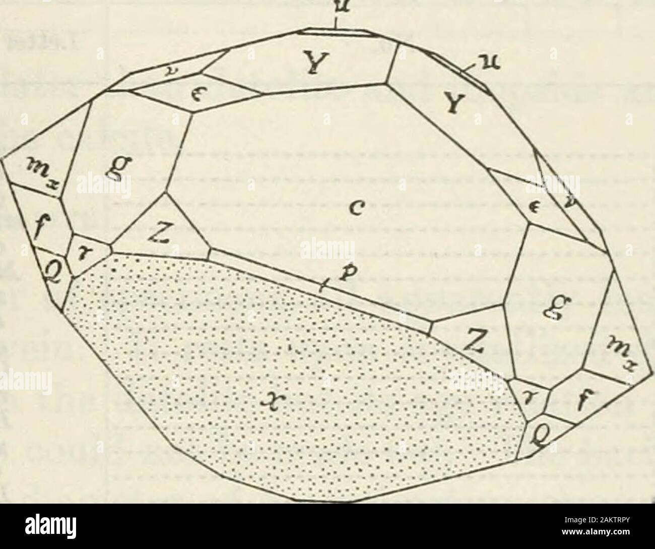 Proceedings of the United States National Museum . Fig. 4.—Datolite. Similar habit tofigure 3 but showing only positivehemipybamios ART. 28 MINERALOGY OF TRIASSIC LIMESTONE SHANNON 25 Measurements of datoUte crystal, Figure 5 Form Symbol No. Letter Qdt. MQler 1 c 0 001 2 a coO 100 .3 m CO 110 4 0 002 120 5 771% 01 Oil 6 e QA 012 7 X +M0 102 8 p + /60 106 9 z + V6 116 10 Q +K21 122 11 y +H 124 12 f +M1 144 13 New +Va A 2. 3. 10 U t -H 112 15 Y 324 If! V -1 111 17 1 -21 211 Quality description Ex. 2 signals Good V.g V.g Uniformly dull.. Excellent Deeply corrodedRounded, fair... V.g Dull, etched Stock Photo