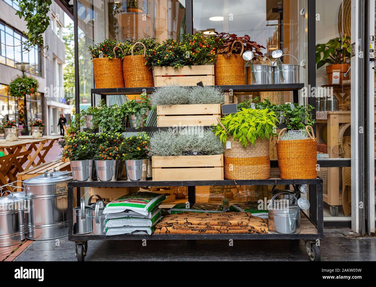 A small flower shop downtown. A stand of blooming flowers in pots, garden plants, watering cans and garden soil. Building background. Stock Photo