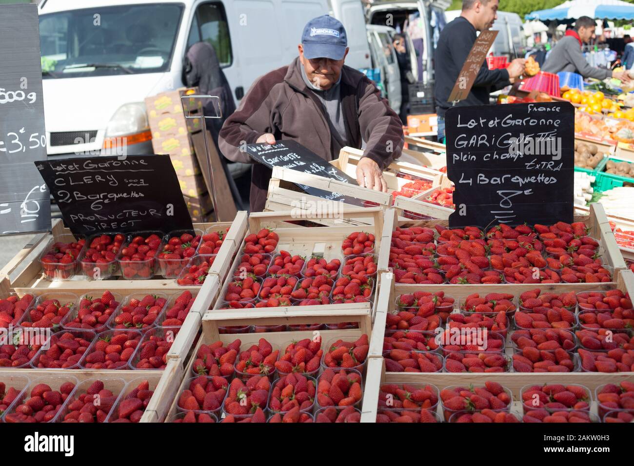 Clery and Gariguette strawberries an old French variety sold in Nay market, Pyrenees Atlantiques, Nouvelle Aquitaine, France Stock Photo