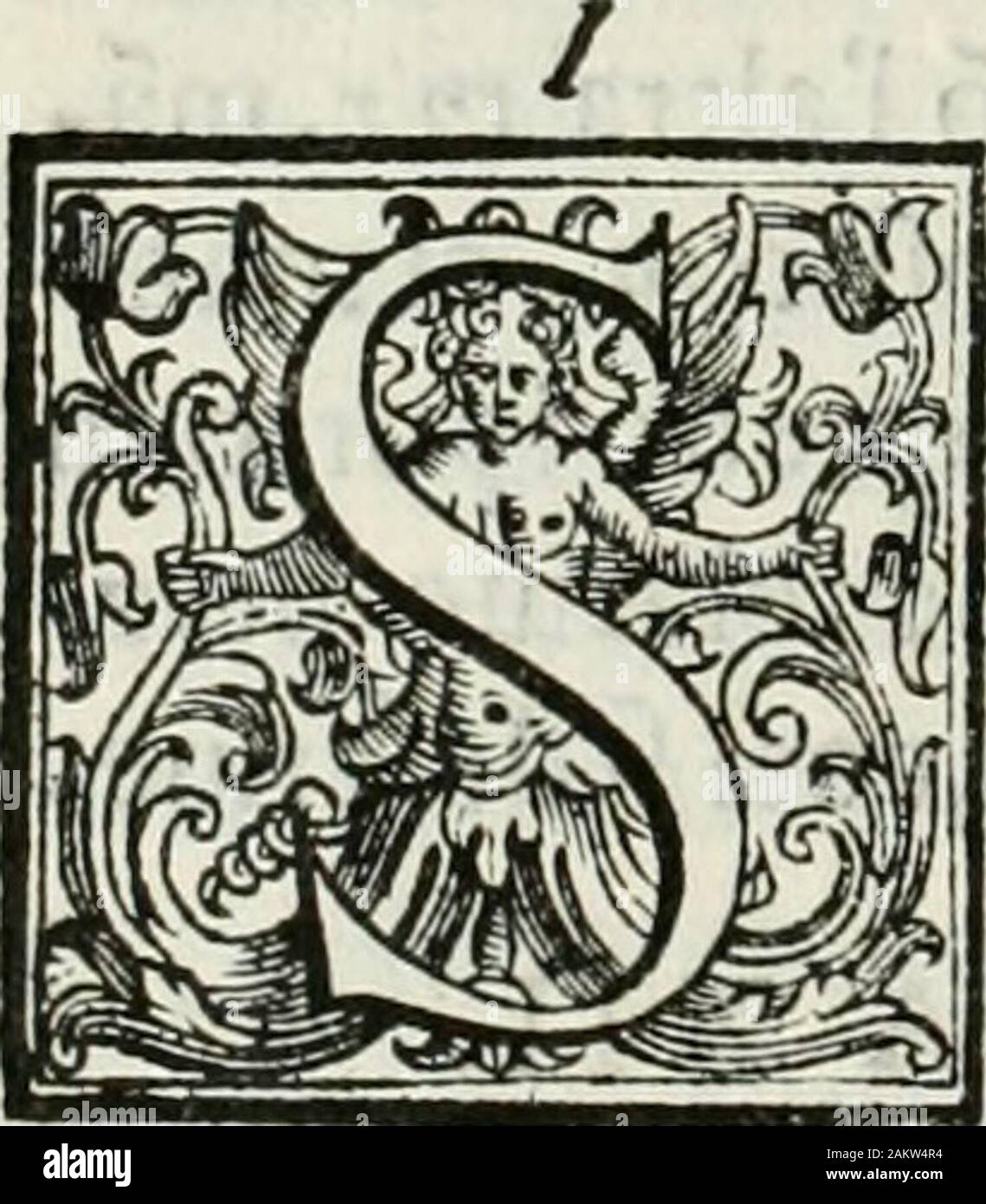 A' CITTA E PULLECENELLA, Brusciano - Menu, Prices \u0026 Restaurant Reviews -  Order Online Food Delivery - Tripadvisor, image size:1139x1390