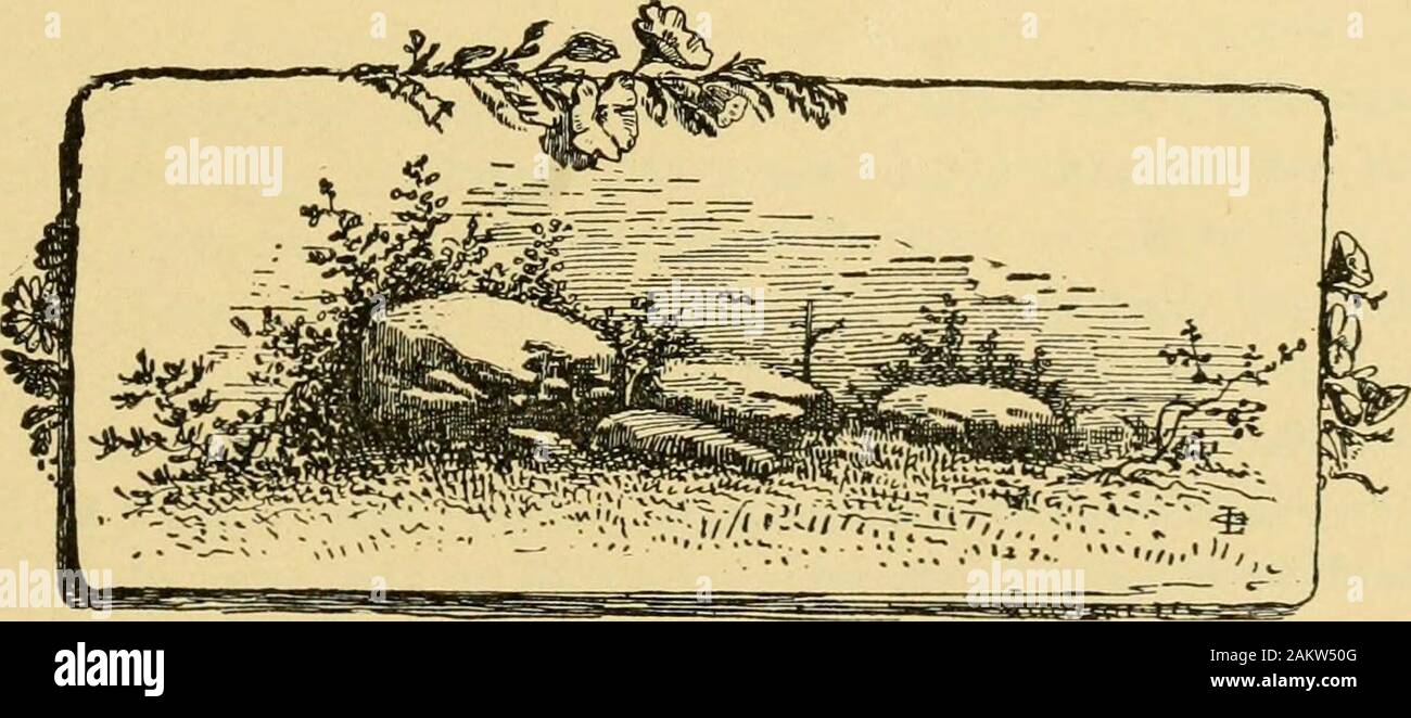 Attel High Resolution Stock Photography And Images Alamy