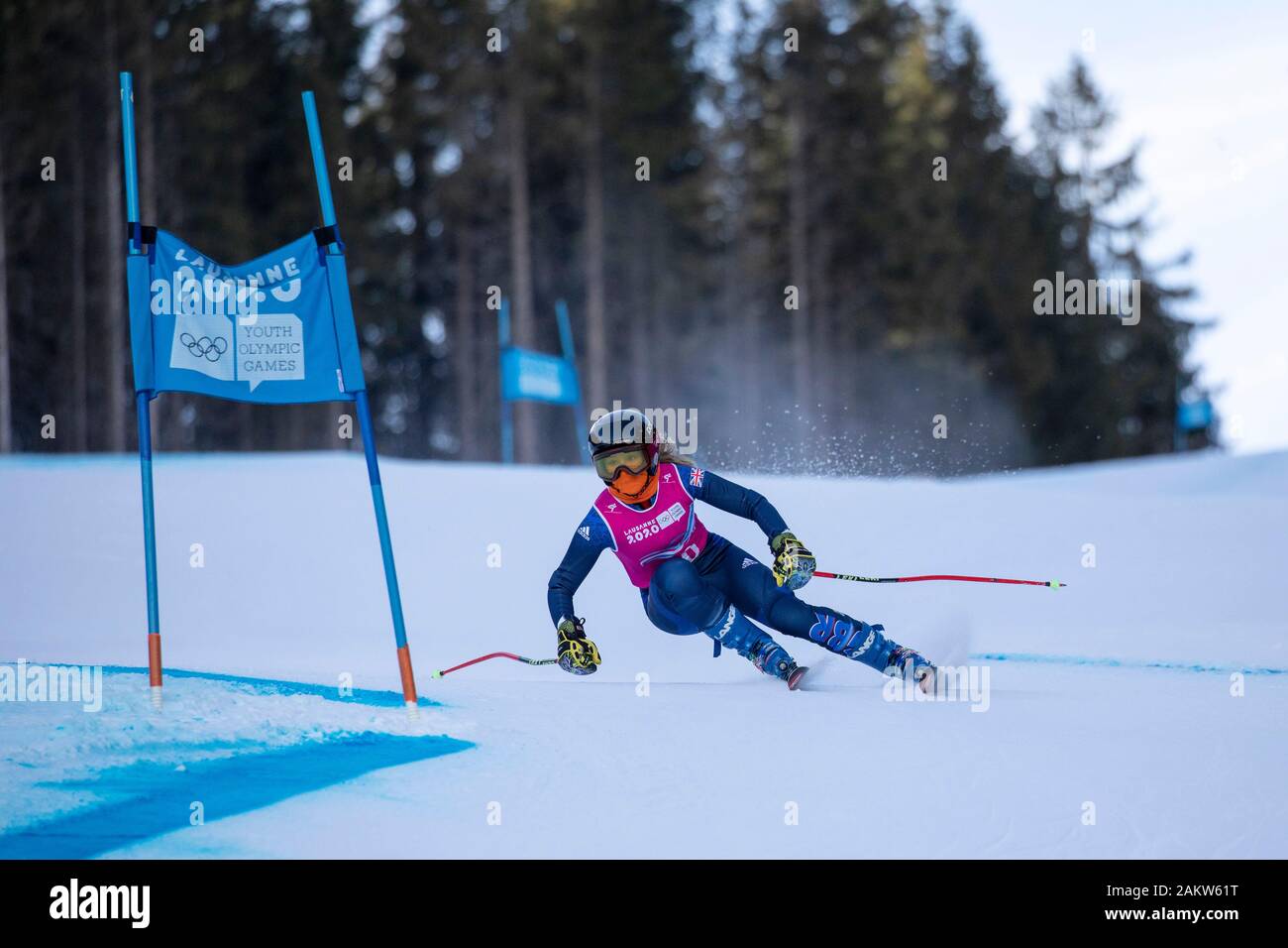 Female skier downhill skiing in hires stock photography and images Alamy
