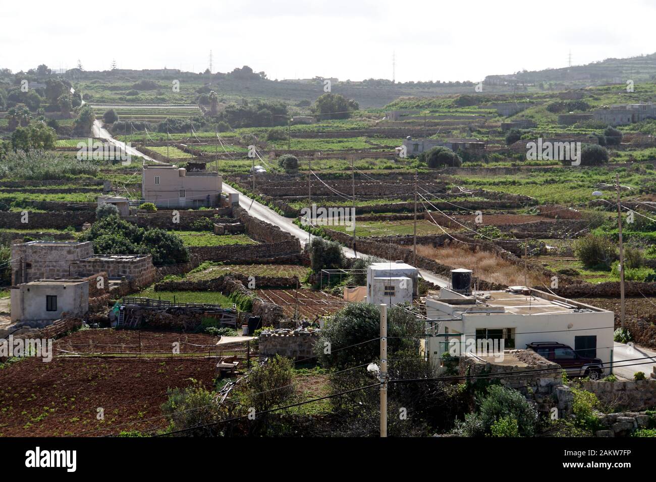 typische Agrarlandschaft mit Kleinfeldwirtschaft zwischen Kalkstein- Trockenmauern auf Malta , Mellieha, Malta Stock Photo