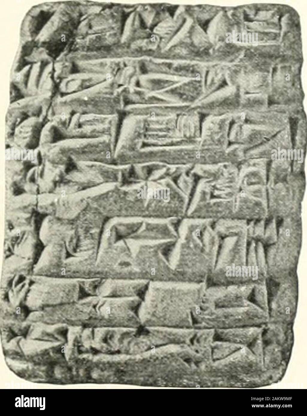The Babylonian Expedition of the University of PennsylvaniaSeries A: Cuneiform  texts . 35. 36. SUMMARY ACCOUNT OF CORN AND WHEAT.37. FRAGMENT OF A PAY  LIST. PL. XII. tjt> University of TorontoLibrary DO