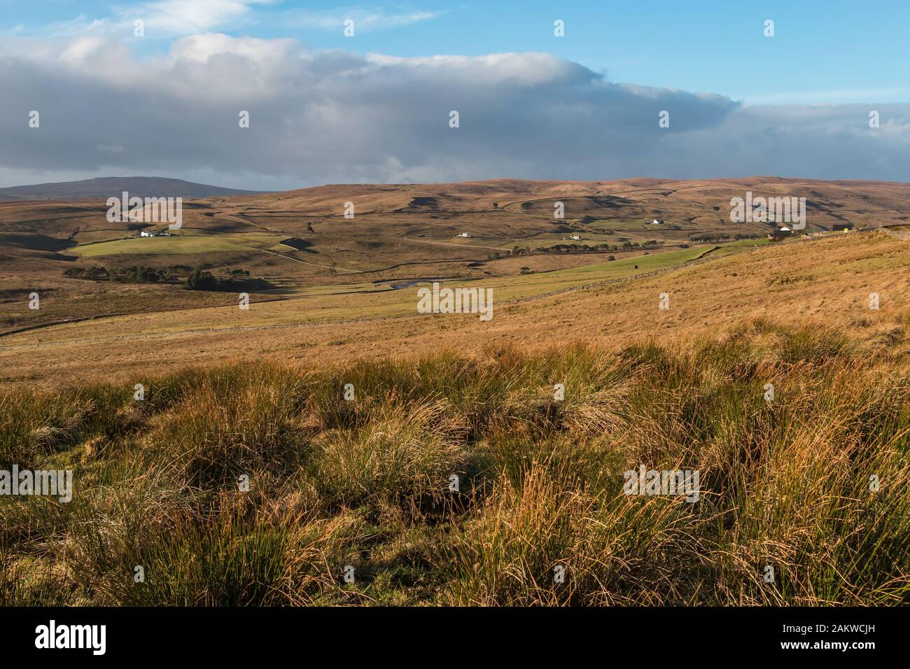 Teesdale landscape, Harwood, Upper Teesdale.Strong low angled winter sunshine brings out the features of the hillsides. Remote, bleak and beautiful Stock Photo