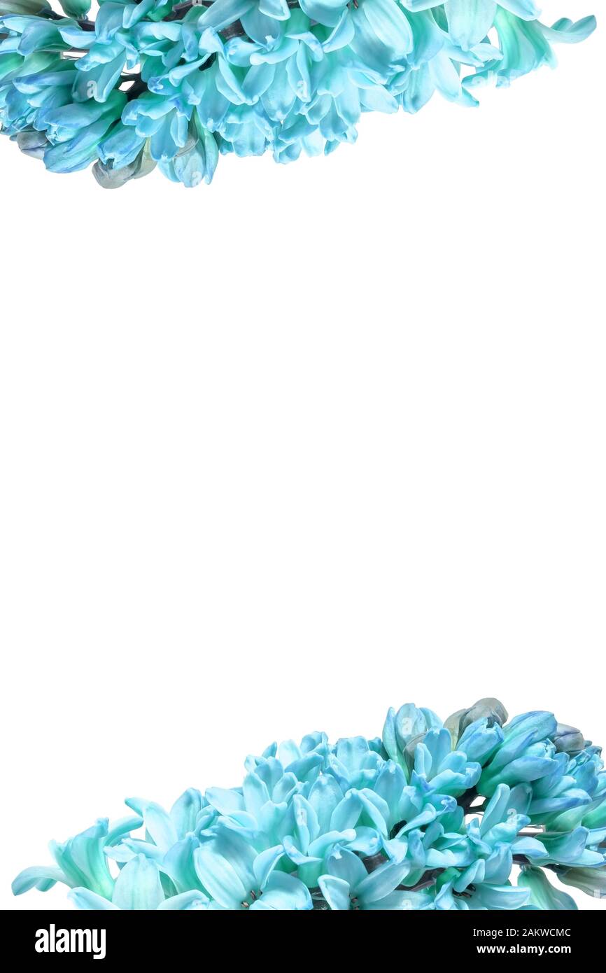 large size photo frame