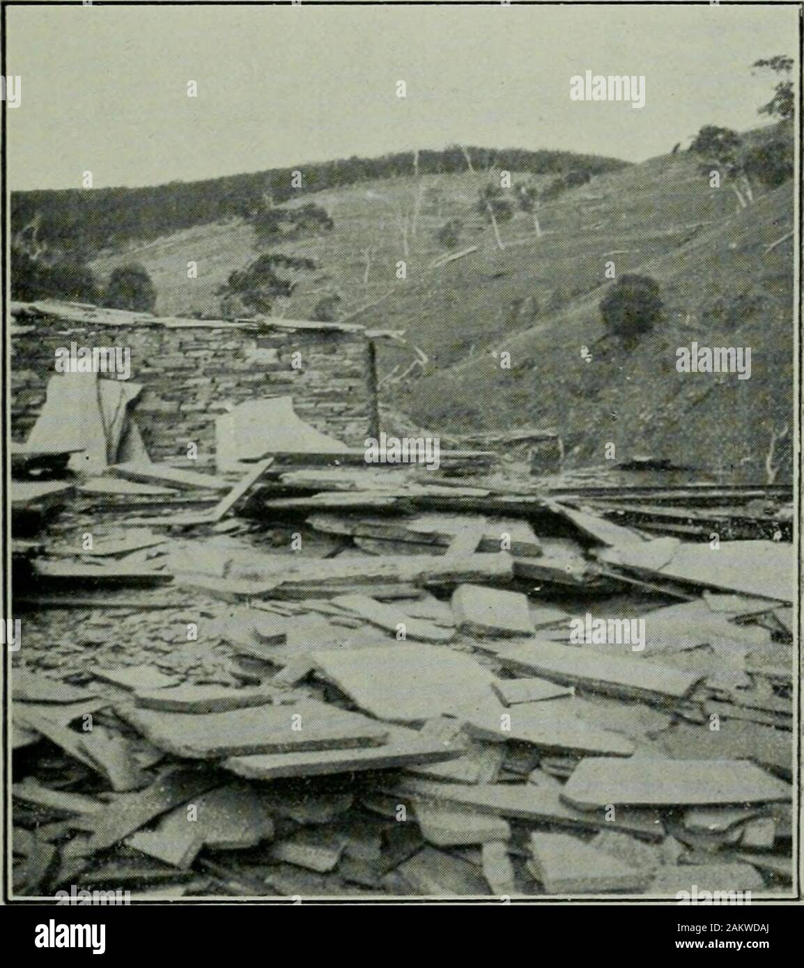 Mining review . MARTINS QUARRY.. Photos, by Government Geologist.BANGOR QUARRY. Faces page 32.] 33 about 45ft. S. from No. 1, has been sunk 18ft. vertically. At that depth it holedthrough to the back of the S. drive. Over the drive between the two shafts a fairamount of stoping has been done in a ferruginous ore body 3ft. to 6ft. wide, carryinggold. Several parcels of ore taken from the workings have been treated atthe Government Cyanide Works, Petersburg, yielding from 14dwts. to 15dwts.of gold per ton. At a point 43ft. in the S. drive a winze is in progress, and is down17ft. The ore-bearing Stock Photo