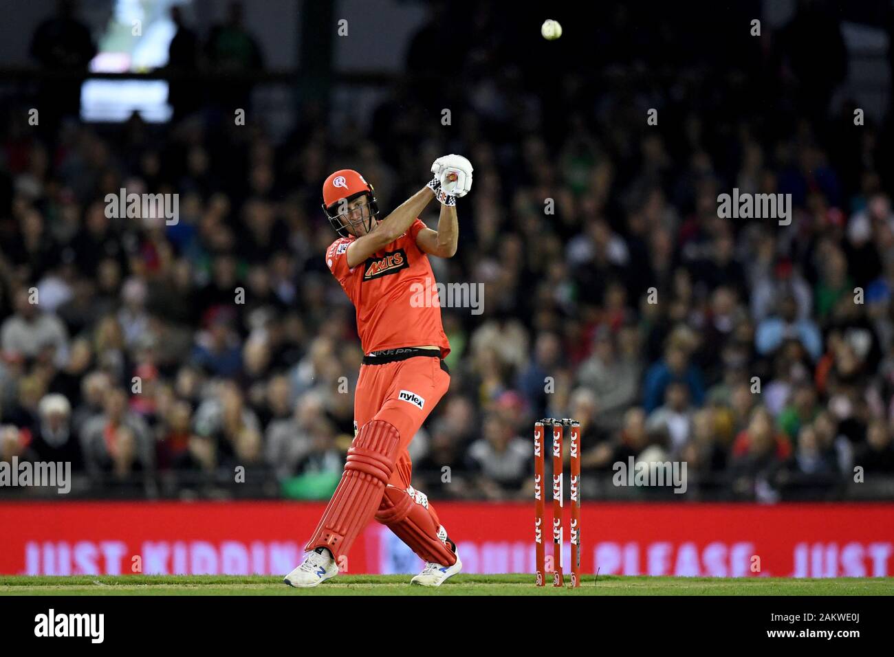 Marvel stadium, cricket hires stock photography and images Alamy