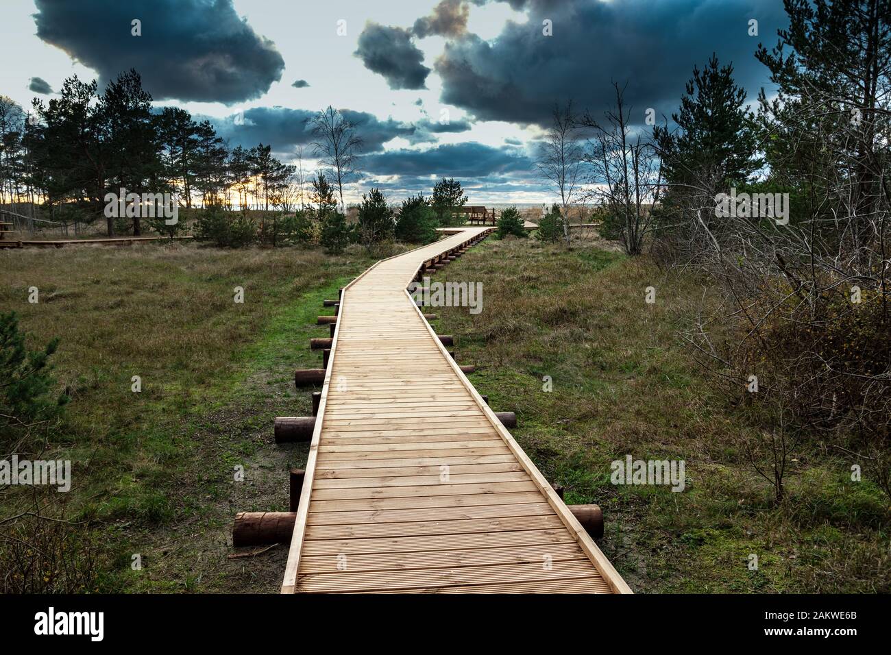 Wooden path to the Baltic sea Stock Photo - Alamy