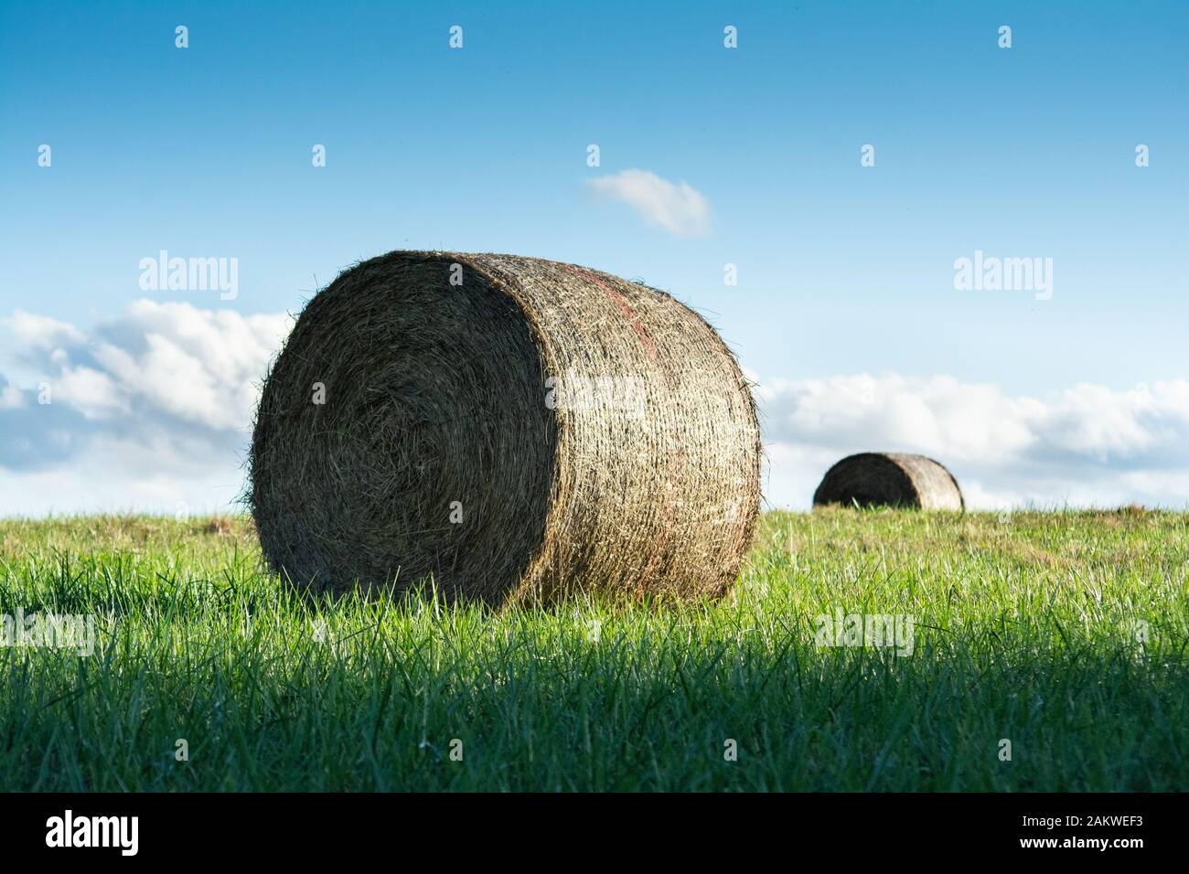 Unique view of two hay bales taken from low angle and featuring beautiful blue sky and green grass Stock Photo