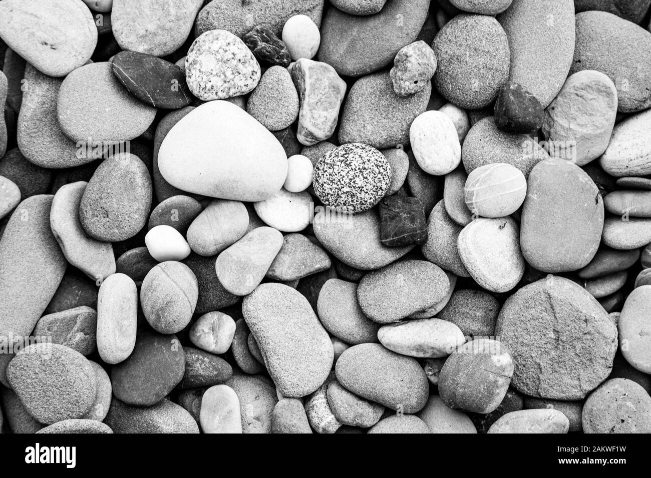 Black and white rendering of smooth and flat river rocks great for background, featuring contrasting values, textures, and shapes Stock Photo