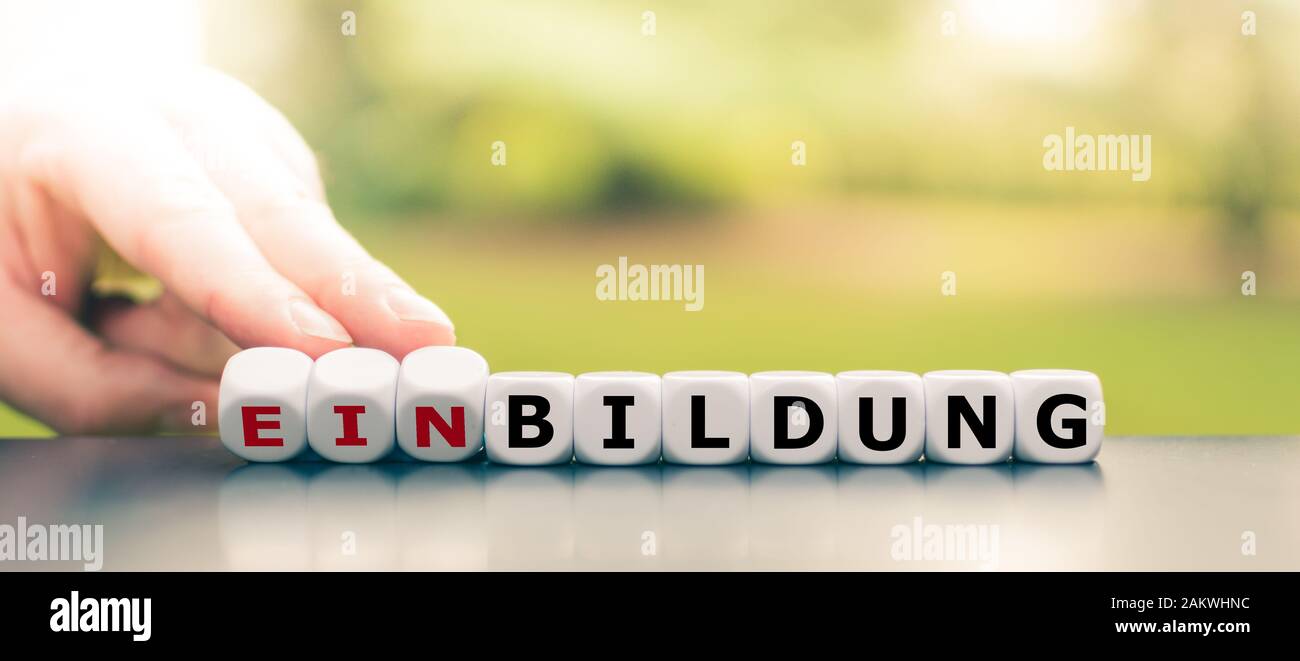 Hand turns dice and changes the German word 'Einbildung' ('imagination' in English) to 'Bildung' ('Education' in English). Stock Photo
